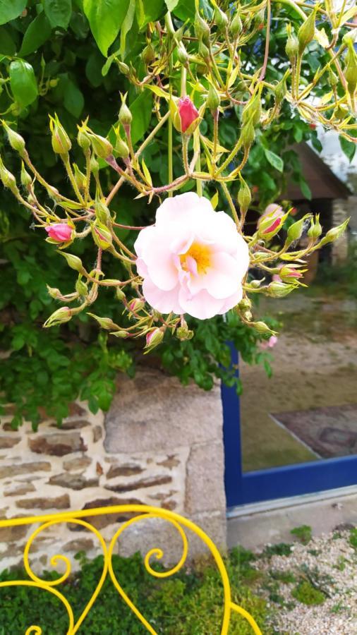 Ker Anahid - L'Atelier Bed & Breakfast Pleslin-Trigavou Exterior photo